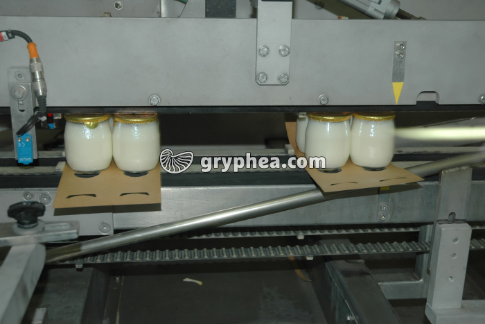 Fabrication des yaourts - Empaquetage des pots - gryphea.com